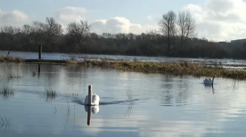 Floods-09b Stock Footage 34248310