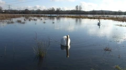 Floods-11 Stock Footage 34248300