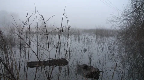 Floods-19 Video stock 34269820