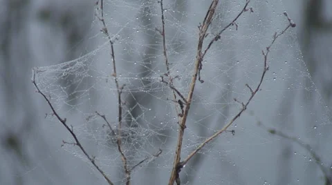 Floods-23 Stock Footage 34269572