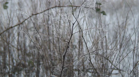 Floods-24 Video stock 34269490