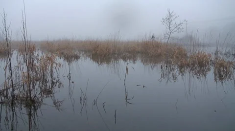 Floods-31 Stock Footage 34269684