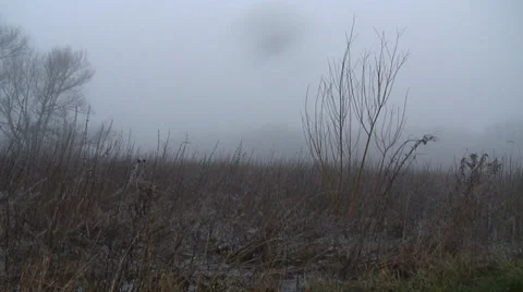 Floods-32 Video stock 34269772