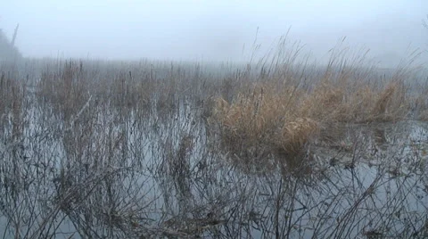 Floods-44 Stock Footage 34269775