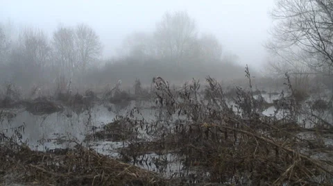 Floods-51 Stock Footage 34269869