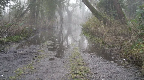 Floods-52 Stock Footage 34269544