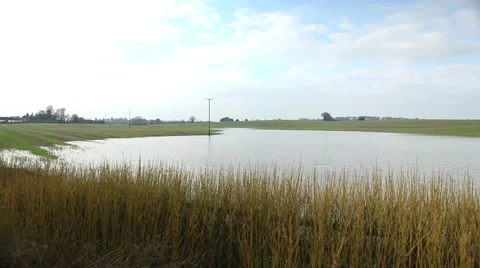 Floods, heavy rain damage in fields of crops Video stock 45159609