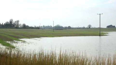 Floods, heavy rain damage in fields of crops, flooded agricultural field Stock Footage 45159621