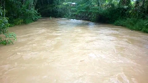 Floods in the streams. Stock Footage 139852713