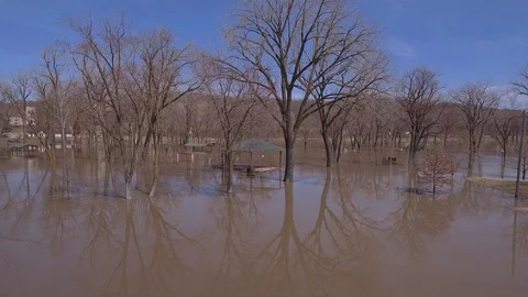 Floodwaters and Trees Stock Footage 105421009