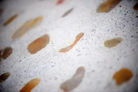 Floor background Foto stock