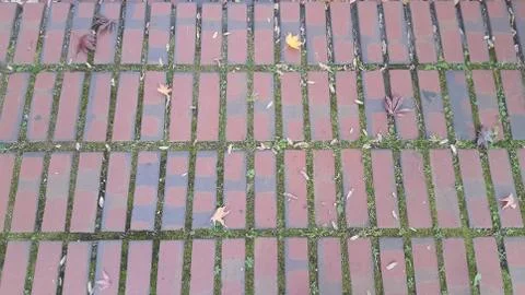 Floor background with Red brick aligned in rows and columns Stock Photos