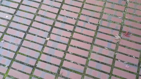 Floor background with Red brick aligned in rows and columns Foto stock