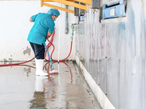 Floor cleaning with mob. Stock Photos