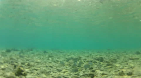 Floor crawl with school chase 60% Stock Footage 24328668