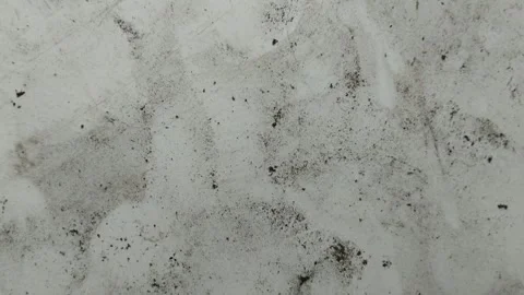 The floor of the house is made of white ceramic which is dirty and full of dust Stock Footage 308056953