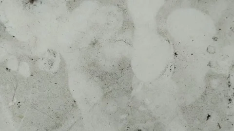 The floor of the house is made of white ceramic which is dirty and full of dust Видео 308057165
