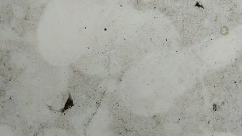 The floor of the house is made of white ceramic which is dirty and full of dust Видео 308057266