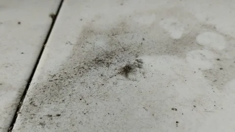 The floor of the house is made of white ceramic which is dirty and full of dust Видео 308057722