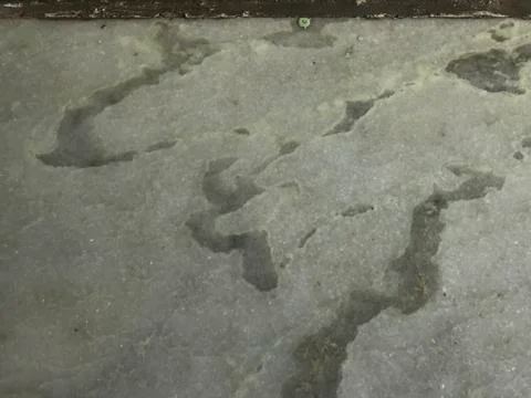 An Floor or wall marble pattern design for flooring work for an Kitchen or ha 库存照片