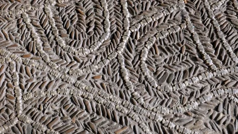 Floor of the Patio de las Tabas (astragalus) Stock Footage 325419449