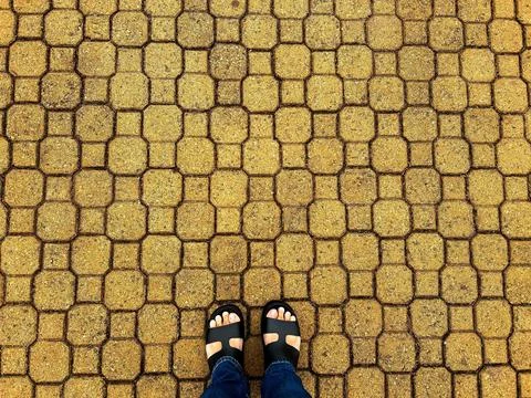 Floor Fotos de archivo