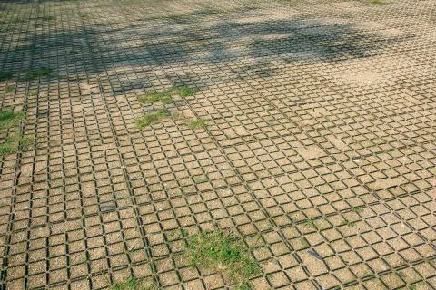 Floor squares pattern with grass Stock Photos
