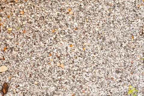 Floor texture Stock Photos