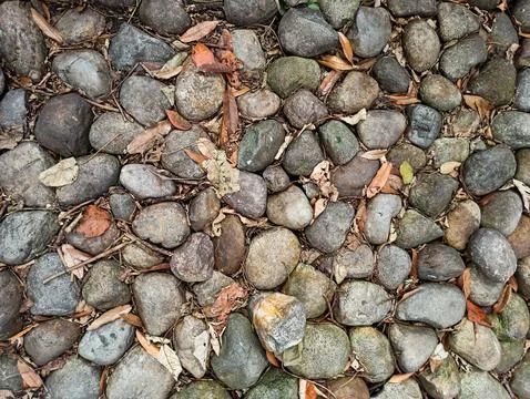 Floor texture of rounded stones, dry leaves and twigs Stock Photos