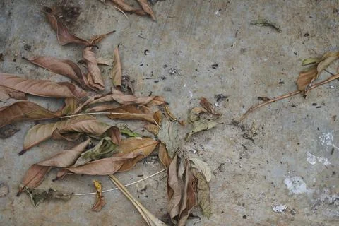 Floor wall texture Stock Photos