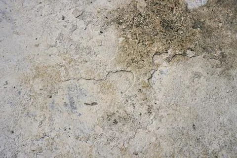 Floor wall texture Stock Photos