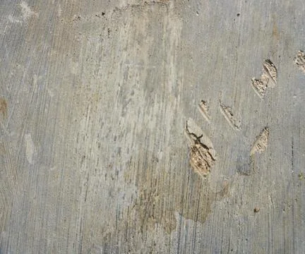 Floor wall texture Stock Photos