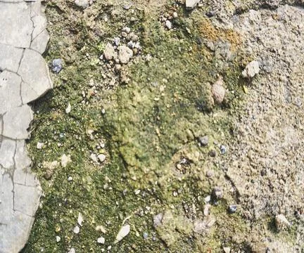 Floor wall texture Stock Photos