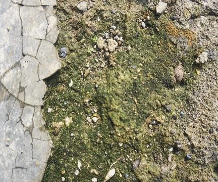 The floor wall texture Stock Photos