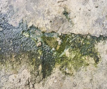 The floor wall texture Stock Photos