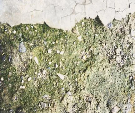 The floor wall texture Stock Photos