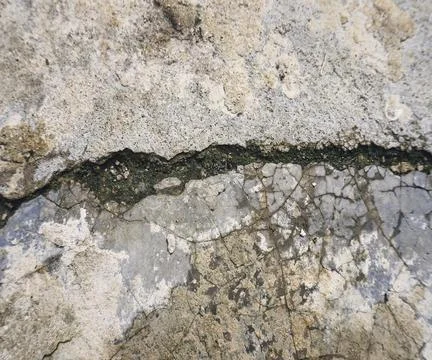 The floor wall texture Stock Photos