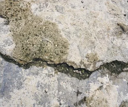 The floor wall texture Stock Photos