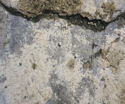 The floor wall texture Stock Photos