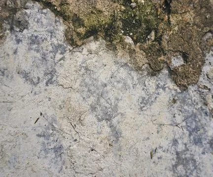 The floor wall texture Stock Photos