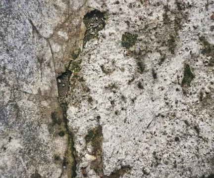 The floor wall texture Stock Photos