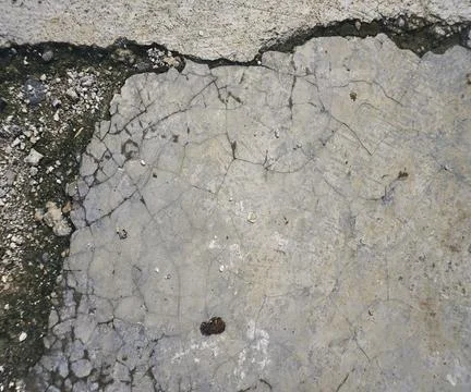 The floor wall texture Stock Photos