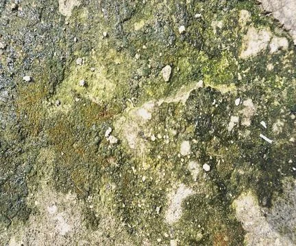 The floor wall texture Stock Photos