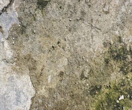 The floor wall texture Stock Photos