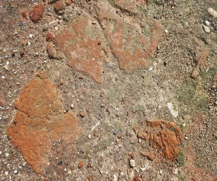 The floor wall texture Stock Photos