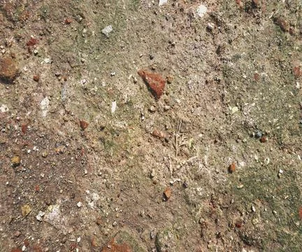 The floor wall texture Stock Photos