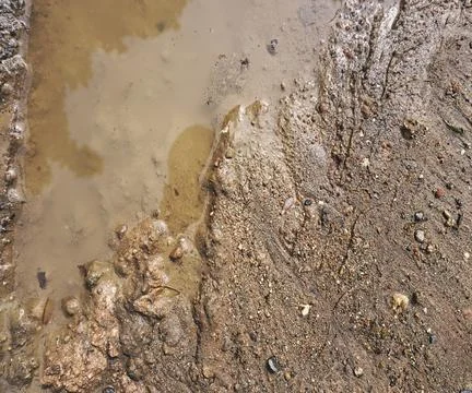 The floor wall texture Stock Photos