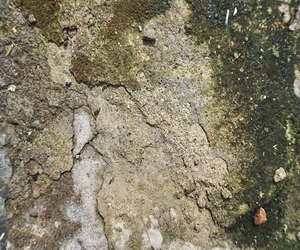 The floor wall texture Stock Photos