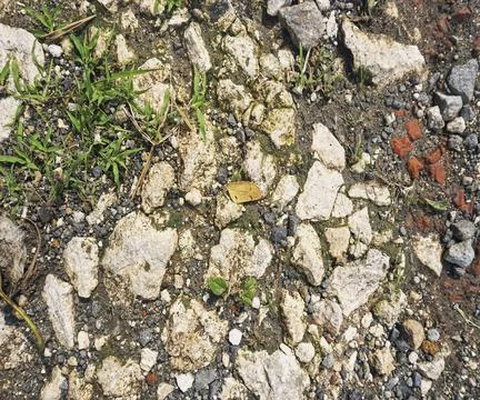 The floor wall texture Stock Photos