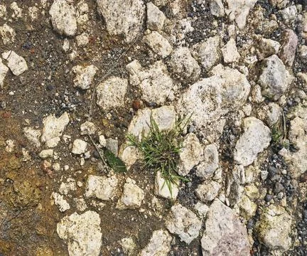 The floor wall texture Stock Photos